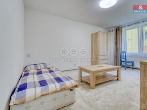 Pronájem bytu 1+kk, Plzeň - Jižní Předměstí, Čechova, 21 m2