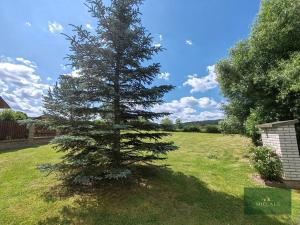 Prodej pozemku pro bydlení, Ždírec, 1049 m2