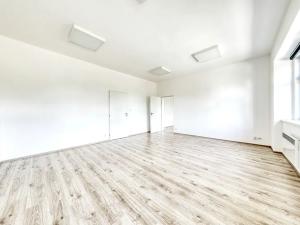 Pronájem kanceláře, Praha - Holešovice, U Výstaviště, 60 m2