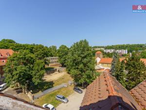 Prodej bytu 3+1, Cheb, Cechovní, 130 m2