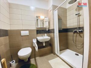 Pronájem bytu 1+1, Český Těšín, Havlíčkova, 37 m2