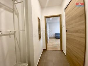 Pronájem bytu 1+1, Český Těšín, Havlíčkova, 37 m2