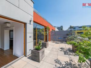 Prodej bytu 5+kk, Praha, Jeseniova, 176 m2