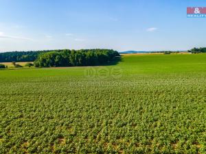 Prodej louky, Kotovice - Záluží, 31349 m2