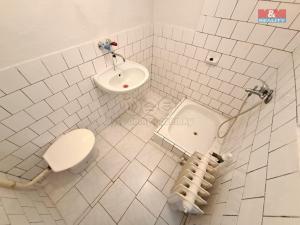 Prodej rodinného domu, Sepekov - Líšnice, 2436 m2
