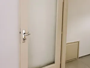 Pronájem bytu 3+kk, Praha - Vinohrady, Lucemburská, 95 m2