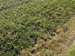 Prodej pole, Žďár nad Sázavou, 6249 m2
