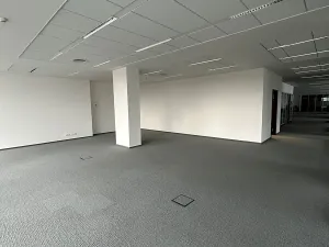 Pronájem kanceláře, Brno, Veveří, 300 m2