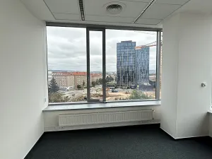 Pronájem kanceláře, Brno, Veveří, 300 m2