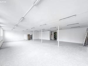 Prodej výrobních prostor, Praha - Ruzyně, 1000 m2