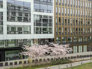 Pronájem bytu 3+kk, Praha - Karlín, Breitfeldova, 80 m2