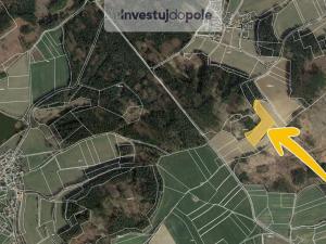 Prodej louky, Pravonín - Lesáky, 13670 m2