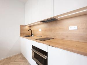 Pronájem bytu 1+kk, Brno, Cejl, 30 m2
