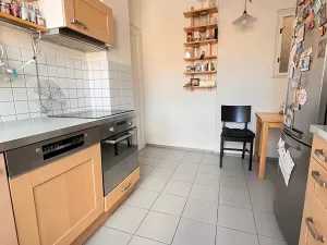 Prodej bytu 3+kk, Praha - Podolí, Podolská, 74 m2