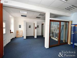 Prodej rodinného domu, Plzeň - Východní Předměstí, Slovanská, 870 m2