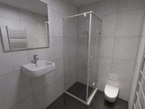 Prodej bytu 1+kk, Brno, Olomoucká, 40 m2