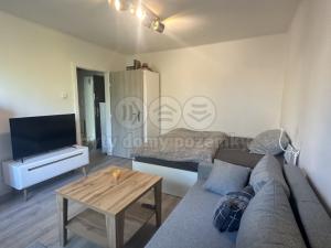 Pronájem bytu 1+1, Lom - Loučná, 30 m2