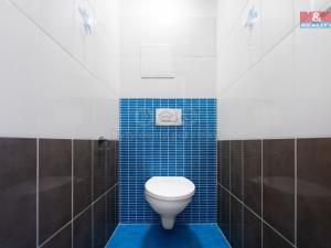 Pronájem bytu 4+1, Domažlice, Petrovická, 89 m2