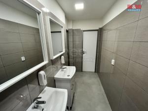 Pronájem kanceláře, Ostrava - Moravská Ostrava, Nemocniční, 277 m2
