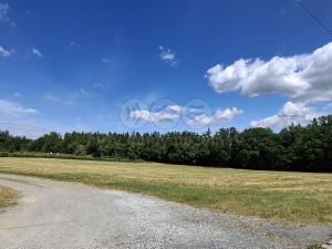 Prodej louky, Hradištko, 2035 m2