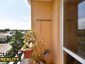 Pronájem bytu 2+1, Týniště nad Orlicí, Na Bělidle, 57 m2