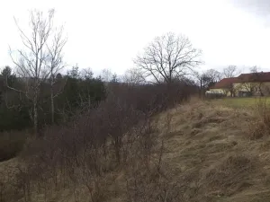 Dražba louky, Chyňava, 3291 m2