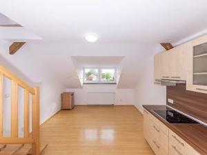 Pronájem bytu 1+kk, Olomouc, Horní hejčínská, 32 m2