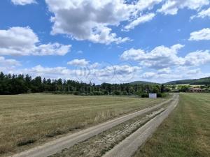 Prodej louky, Hradištko, 1831 m2