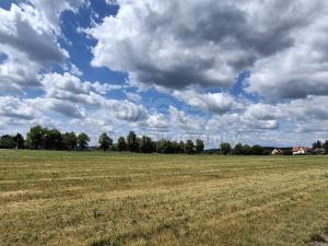 Prodej pozemku pro bydlení, Hradištko, 10084 m2