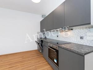 Pronájem bytu 1+kk, Praha - Žižkov, Olgy Havlové, 35 m2