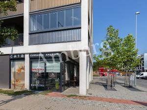 Pronájem bytu 1+kk, Praha - Žižkov, Olgy Havlové, 35 m2