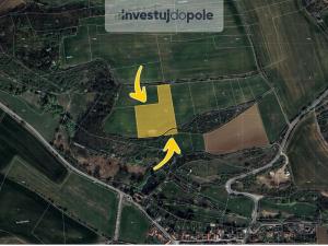 Prodej pole, Dobříč, 2430 m2