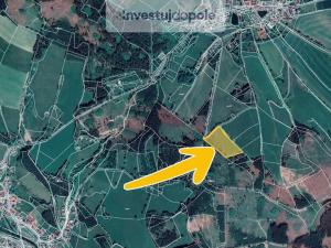 Prodej louky, Jimramov - Ubušín, 14963 m2