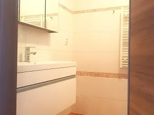 Pronájem bytu 1+kk, České Budějovice, Tylova, 51 m2