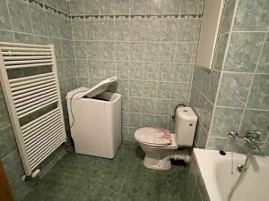 Pronájem bytu 1+kk, Olomouc, Družební, 40 m2