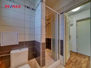 Pronájem bytu 1+kk, Poděbrady, Tyršova, 23 m2