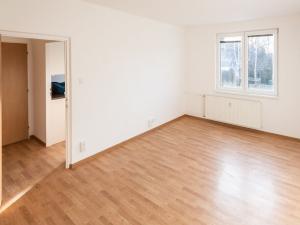 Pronájem bytu 1+1, České Budějovice - České Budějovice 6, Křižíkova, 40 m2