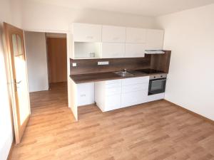 Pronájem bytu 1+1, České Budějovice - České Budějovice 6, Křižíkova, 40 m2