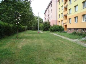 Pronájem bytu 1+1, Hustopeče, Svat. Čecha, 30 m2
