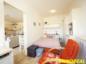 Prodej bytu 2+kk, Brno, U pošty, 45 m2