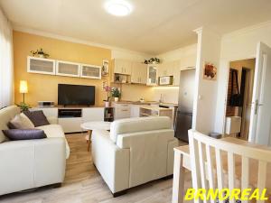Prodej bytu 2+kk, Brno, U pošty, 45 m2