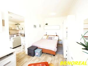 Prodej bytu 2+kk, Brno, U pošty, 45 m2