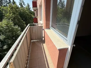 Prodej bytu 3+1, České Budějovice, Mánesova, 81 m2