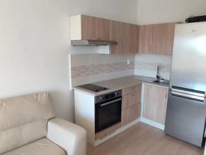 Pronájem bytu 1+kk, Ostrava, Gen. Janouška, 32 m2