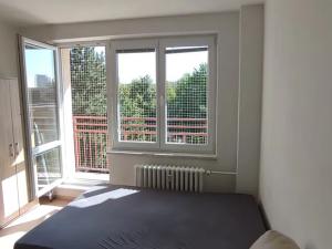Pronájem bytu 1+kk, Ostrava, Gen. Janouška, 32 m2