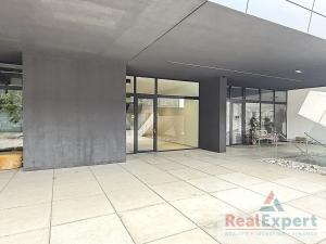 Pronájem bytu 4+kk, Praha - Radlice, Radlická, 184 m2