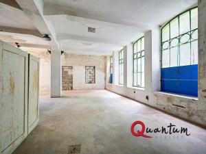 Prodej obchodního prostoru, Janská, 4600 m2
