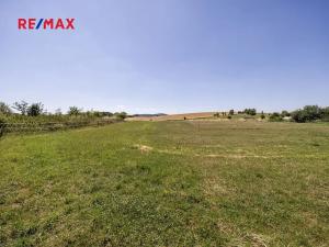 Prodej pozemku pro bydlení, Svinaře, Lipová, 7542 m2