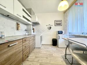 Pronájem bytu 1+1, Teplice, Alejní, 35 m2