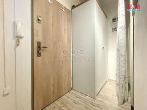Pronájem bytu 1+1, Teplice, Alejní, 35 m2